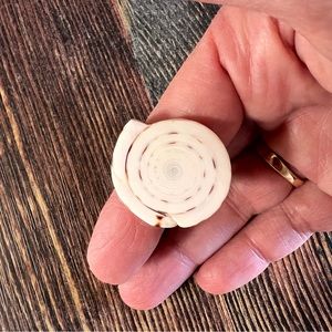 Genuine Shell Ring